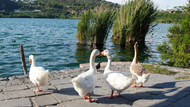 Com’è profondo il lago d’Averno